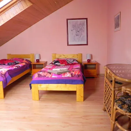 בית הארחה Penzion Krasny Dvur 3*