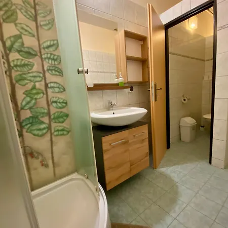 בית הארחה Penzion Krasny Dvur 3*