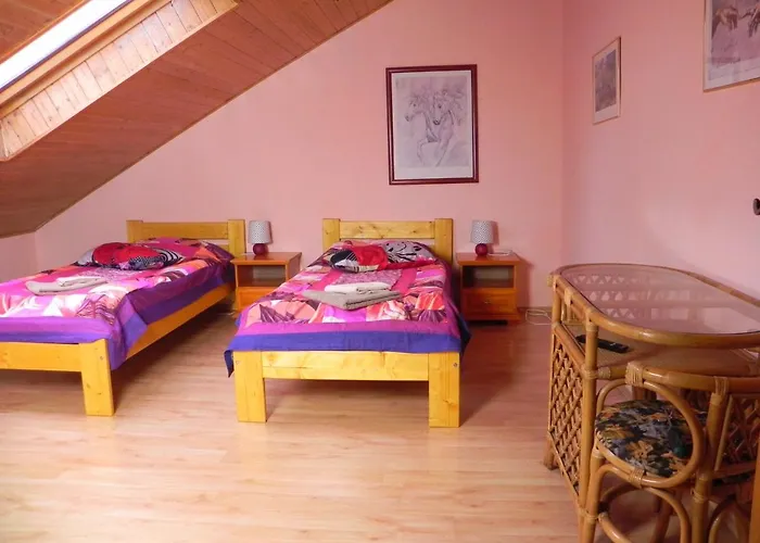 Gasthuis Penzion Krasny Dvur 3*